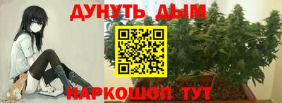 spice Кингисепп
