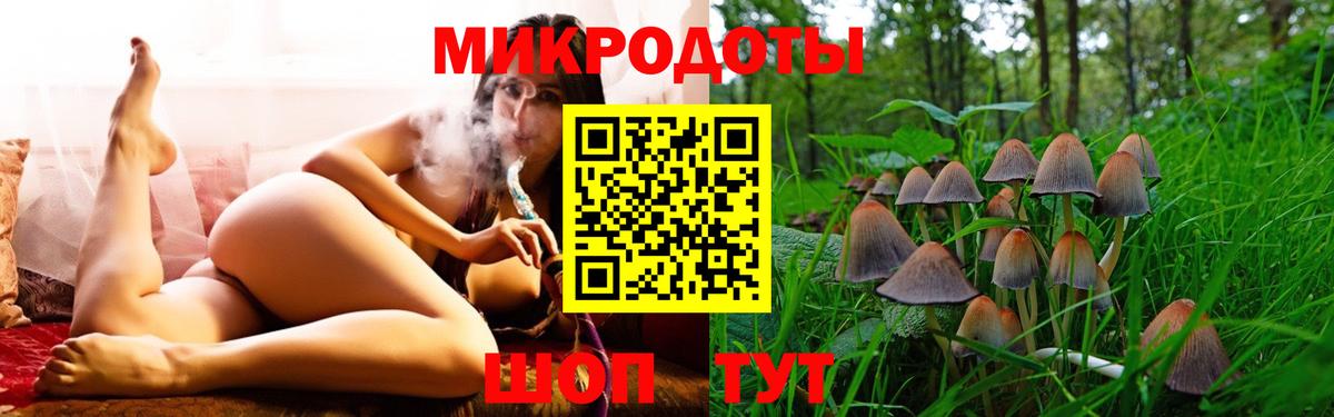 Заинск  Галлюциногенные грибы Magic Shrooms  Вход с VPN 
